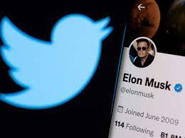 Musk Suggests Poll Result Saying He Should Step Down as Twitter CEO Rigged by Bots